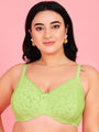 Curvy Love Pack of 2 Plus Size Soft Lace Full Coverage Underwire Parrot & Peach Bra - Da Intimo
