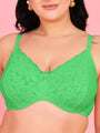 Curvy Love Pack of 2 Plus Size Soft Lace Full Coverage Underwire Peach & Green Bra - Da Intimo