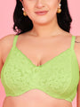 Curvy Love Pack of 2 Plus Size Soft Lace Full Coverage Underwire White & Parrot Bra - Da Intimo
