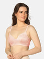 Pack Of 3 Lightly Padded Lacy Design Everyday T-Shirt Bra - Da Intimo